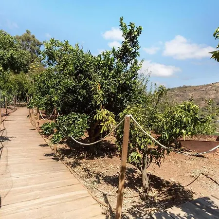 Vcv Casa Rural La Yedra Holiday home *